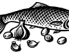 fish1